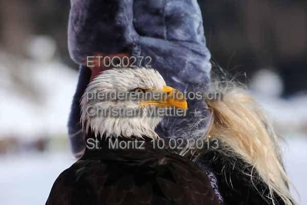 ET0Q0272 prot